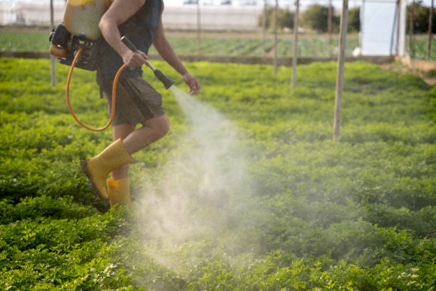 Best Pest Inspection Near Me  in Esperance, WA