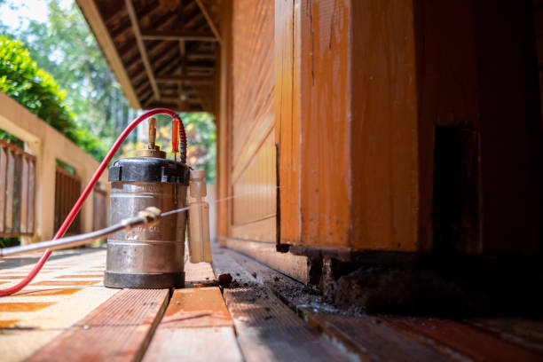 Best Pest Removal Services  in Esperance, WA